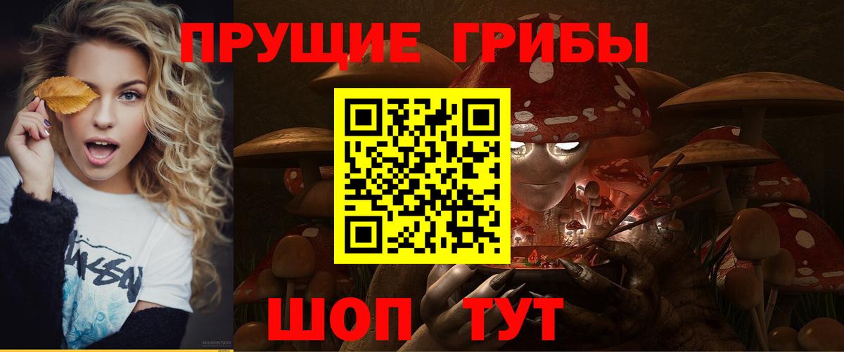 Псилоцибиновые грибы GOLDEN TEACHER Брянск